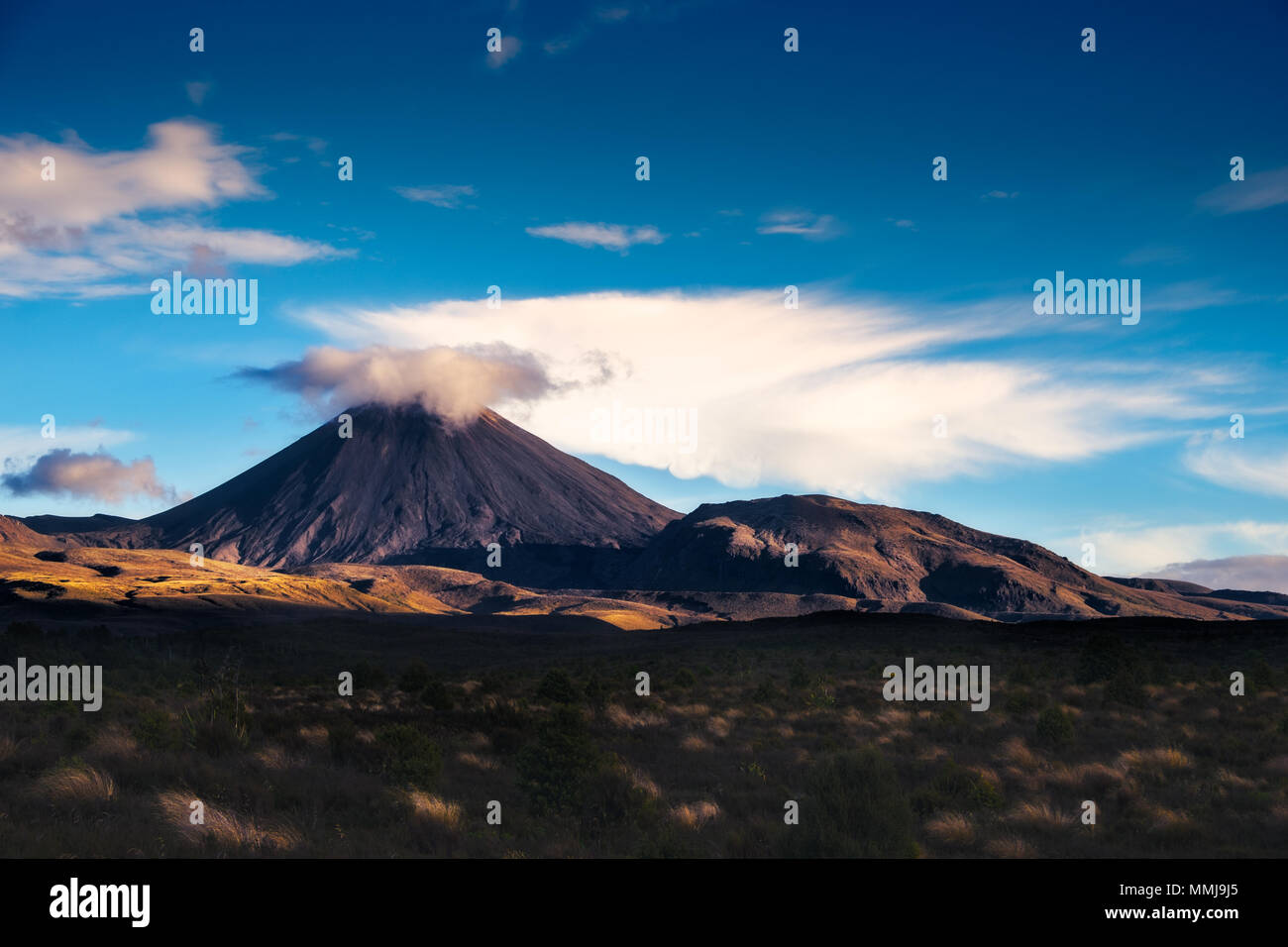 Landschaft Blick auf Mt Ngauruhoe im Tongariro National Park, North Island, Neuseeland Stockfoto