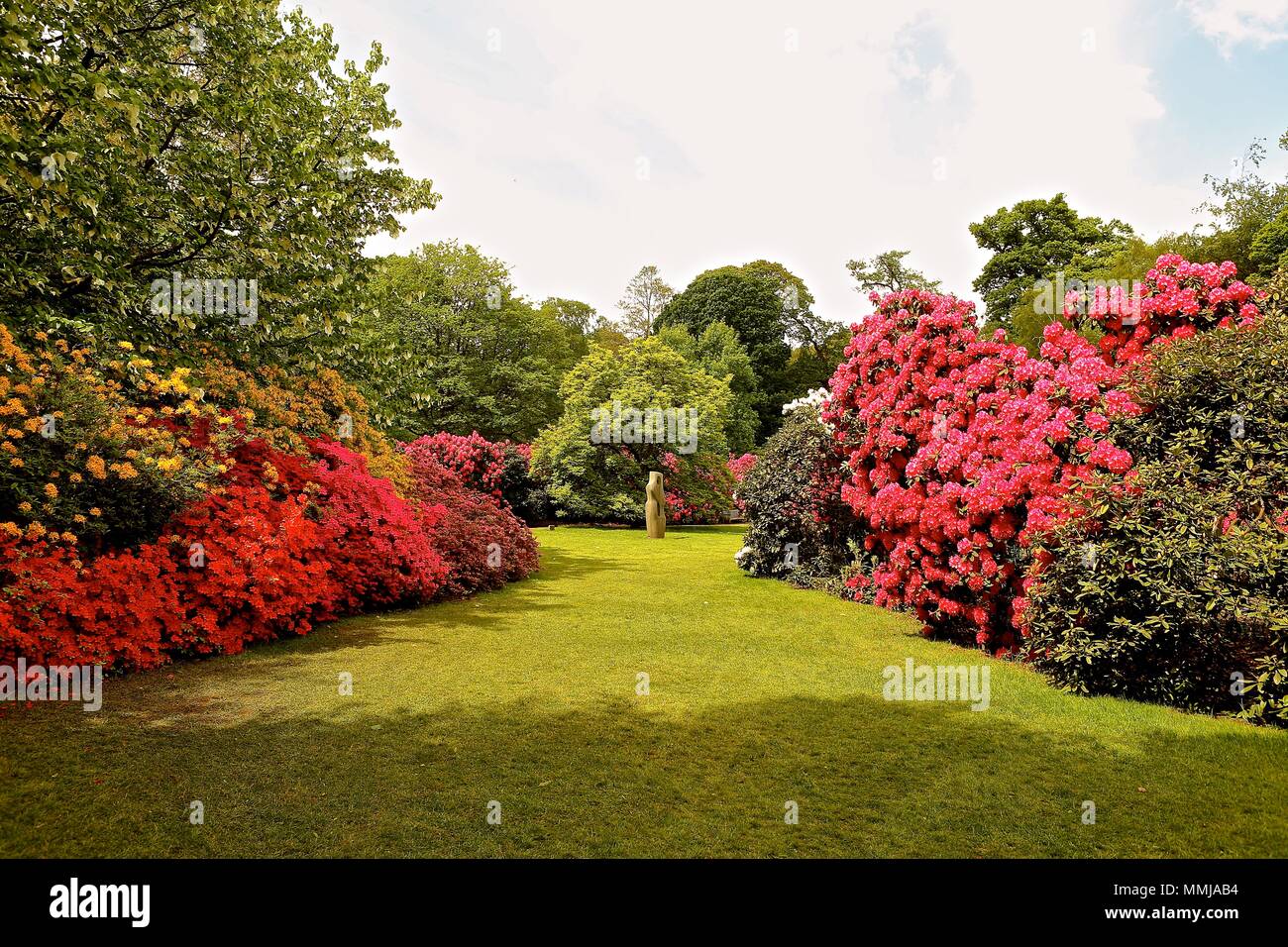 Hampstead Heath Blume Garten Mai 2018 Stockfoto