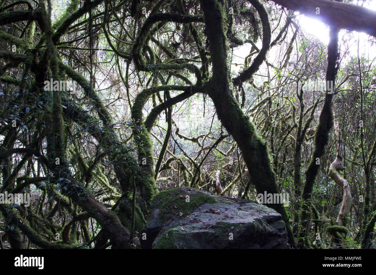 Inka Trail, Machu Picchu, Peru 2017 Stockfoto