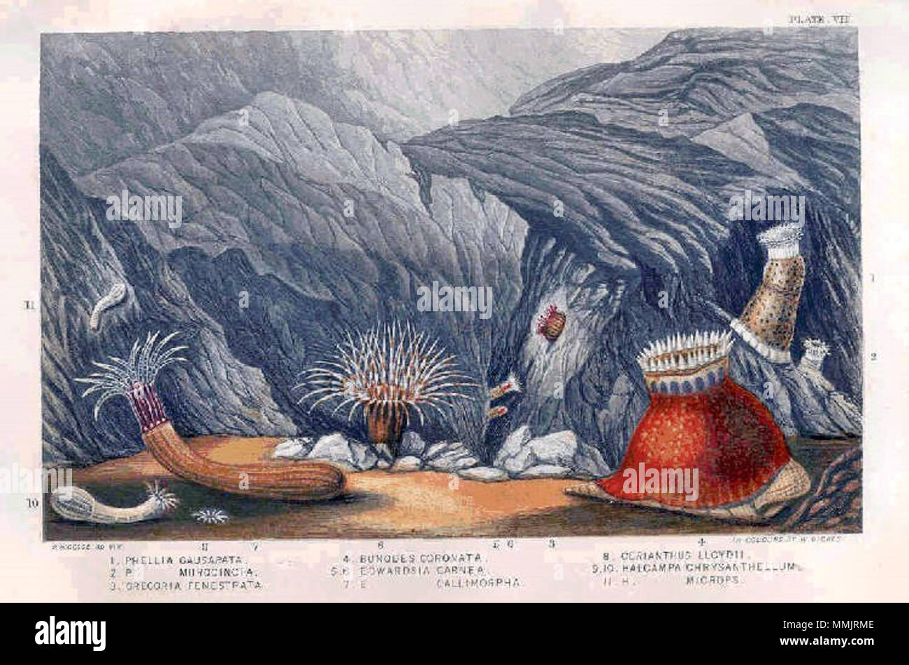 E 2 4 7 Fotos und Bildmaterial in hoher Auflösung Alamy