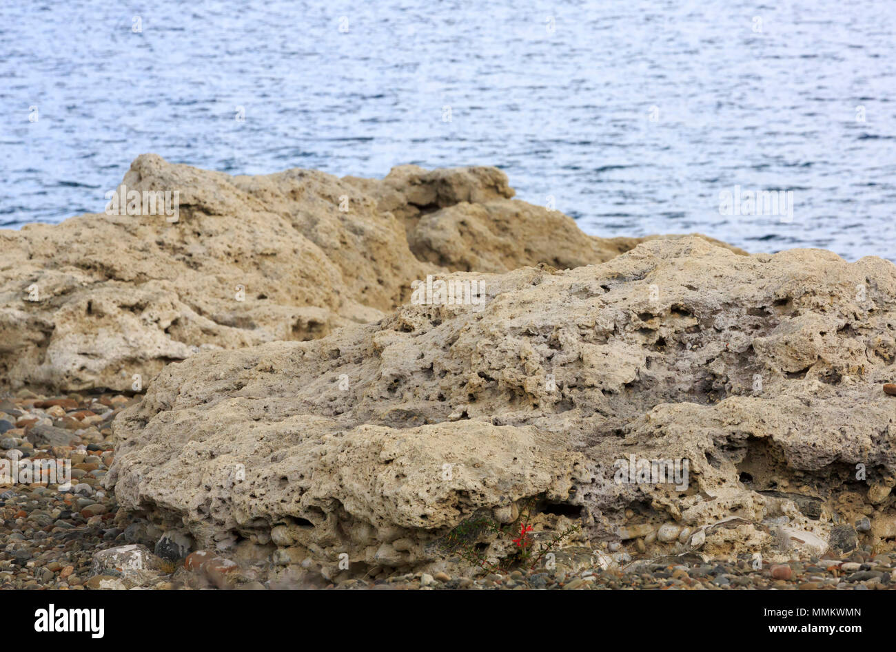 Thrombolites, Lago Sarmiento, Patagonien, Chile Stockfoto