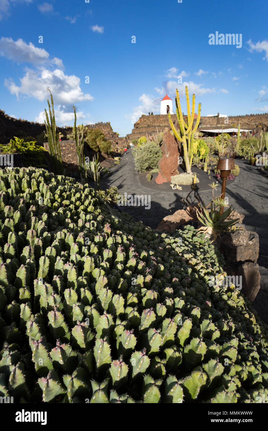 Kaktus garten lanzarote Stockfotos und bilder Kaufen Alamy