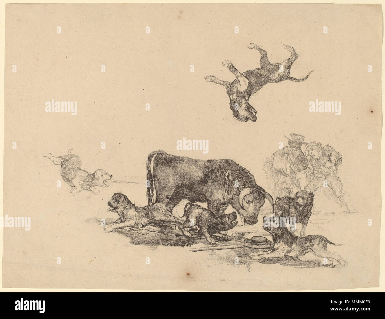 Francisco de Goya, Stier durch Hunde, Spanisch, 1746 - 1828 angegriffen, C. 1825, Lithographie, Rosenwald Collection Goya - Stier von Hunden angegriffen Stockfoto