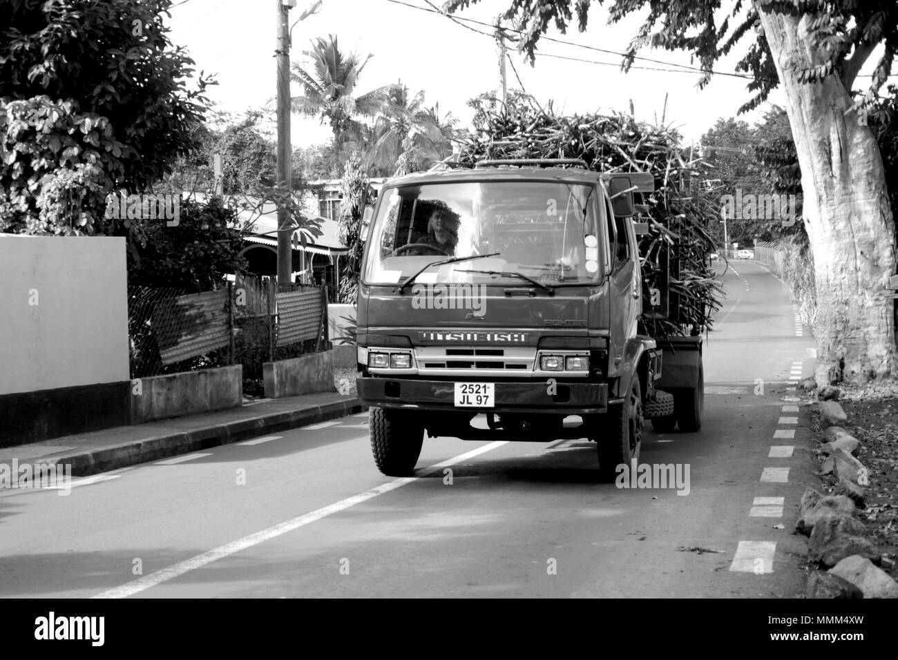 Vieux Grand Port Stockfoto
