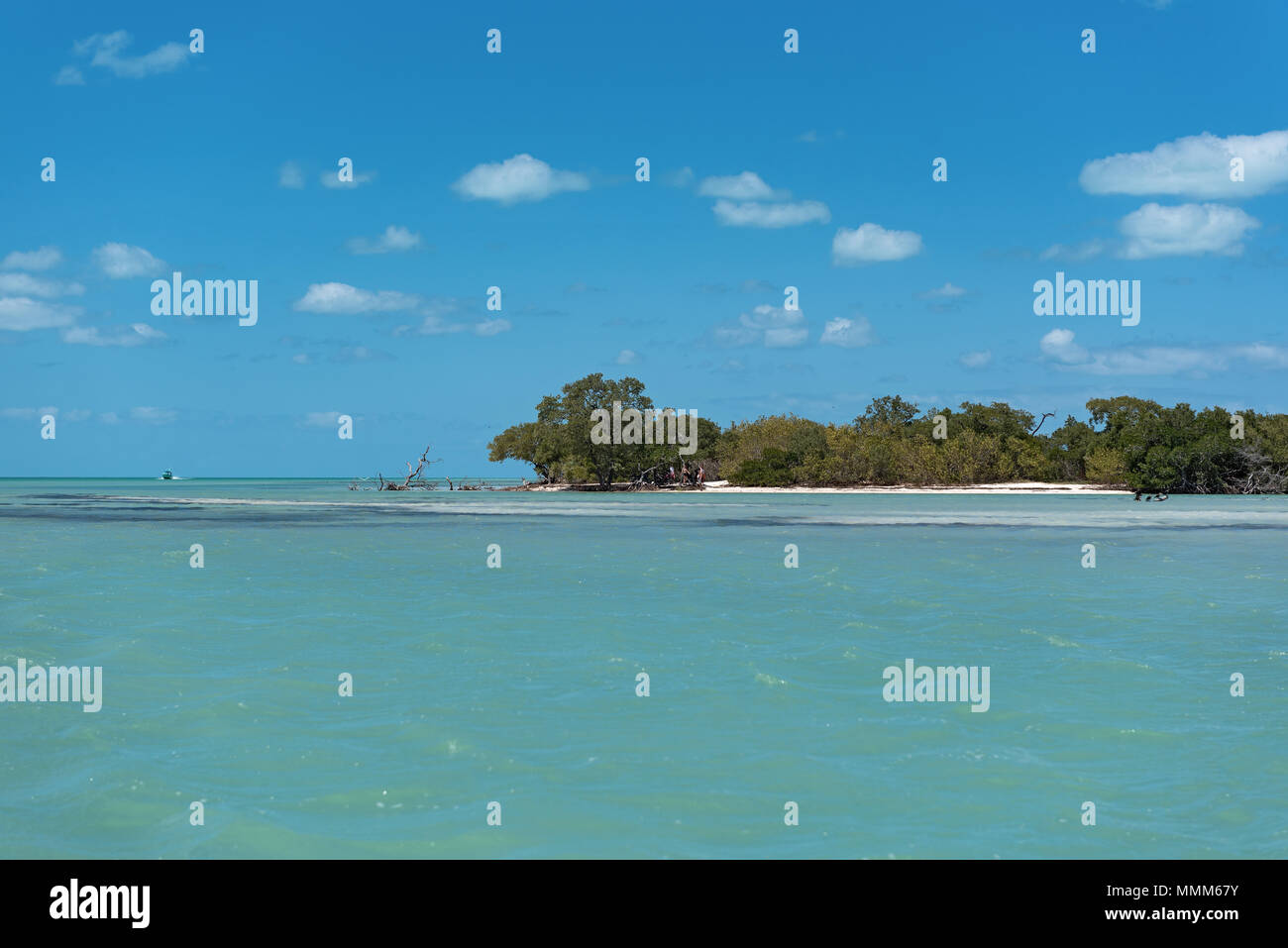 Strand auf der Chica Insel westlich von Holbox Halbinsel, Mexiko Stockfoto