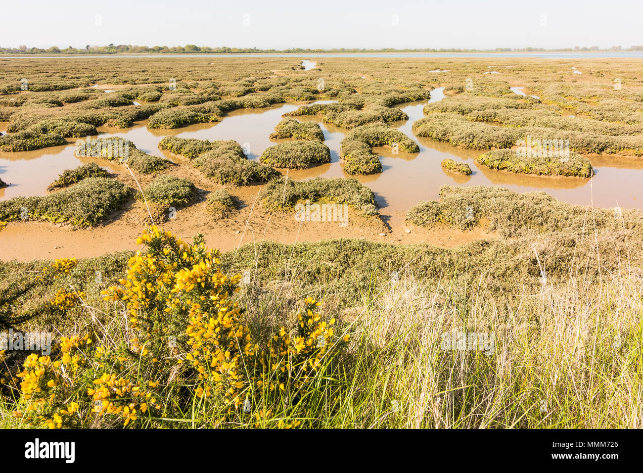 Die Westseite der Pagham Harbour Naturschutzgebiet, West Sussex, UK. Stockfoto