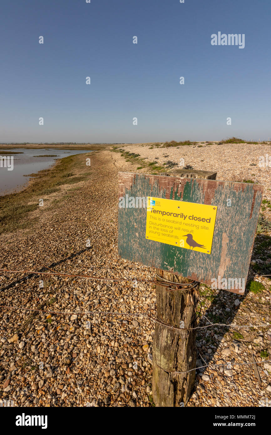 Die Westseite der Pagham Harbour Naturschutzgebiet, West Sussex, UK. Stockfoto