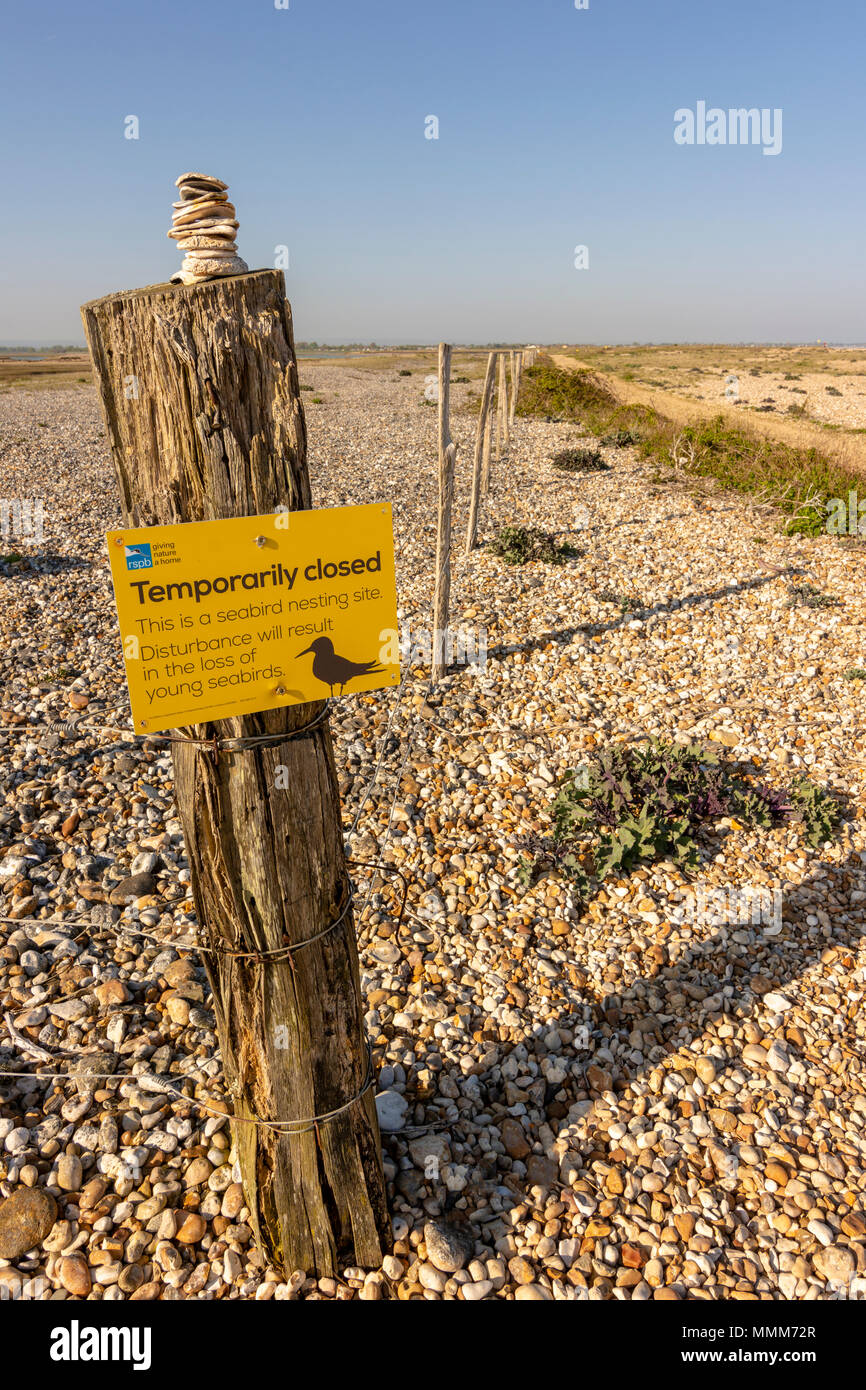 Die Westseite der Pagham Harbour Naturschutzgebiet, West Sussex, UK. Stockfoto