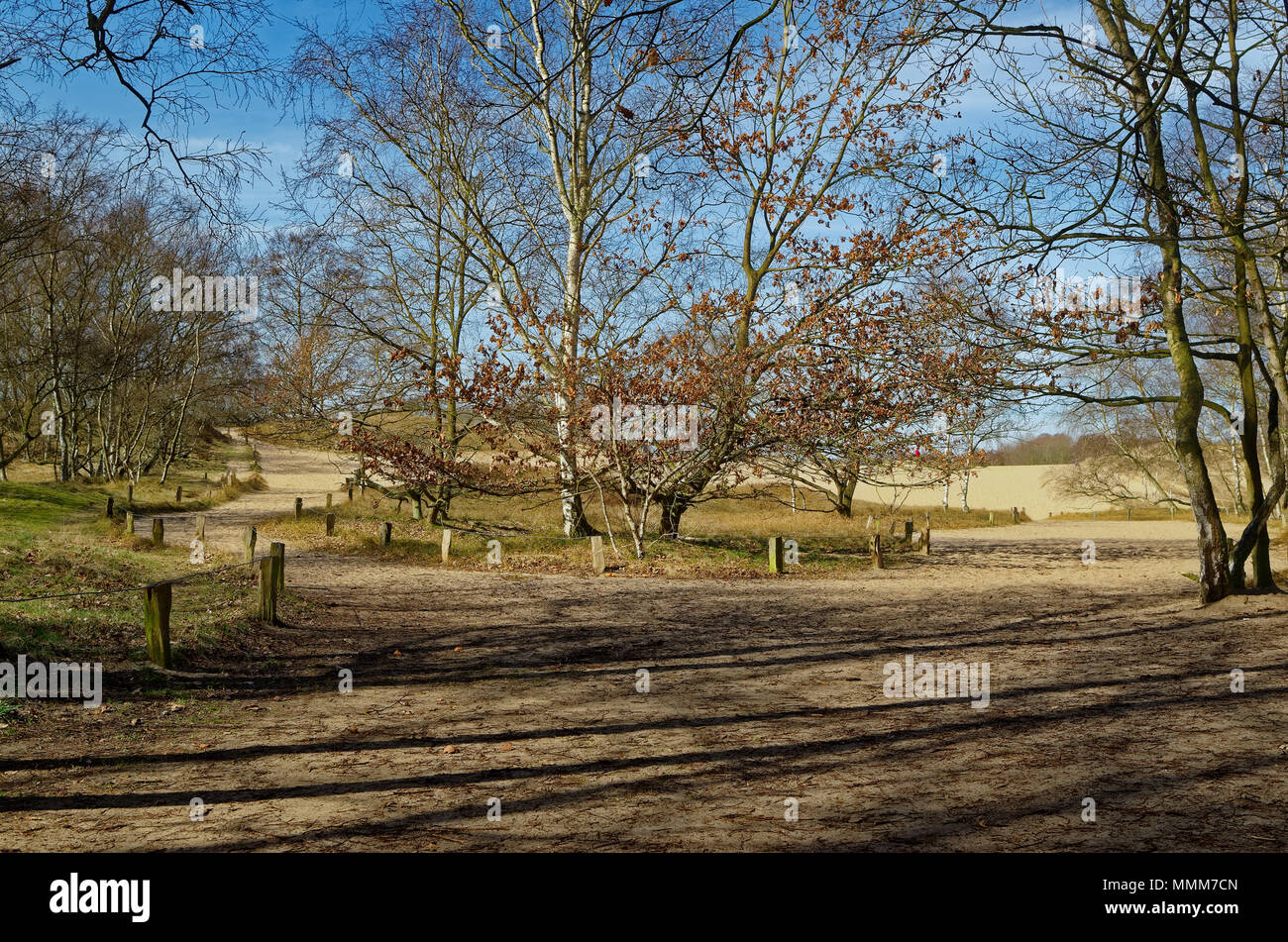 Eintrag Boberger Dünen im Naturschutzgebiet Boberger Niederung in Hamburg Deutschland Stockfoto