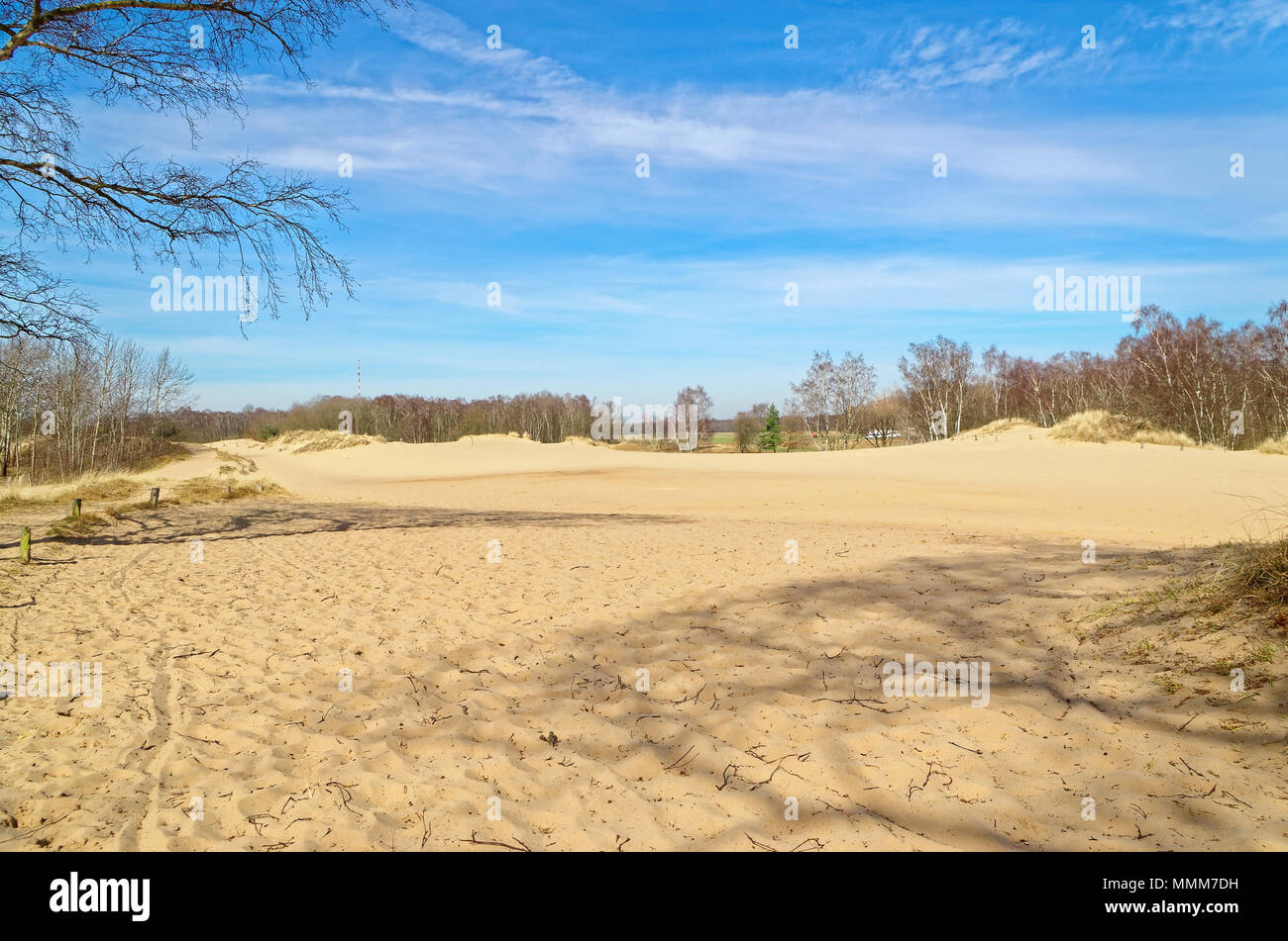 Panoramablick auf die Boberger Dünen im Naturschutzgebiet Boberger Niederung in Hamburg, Deutschland Stockfoto