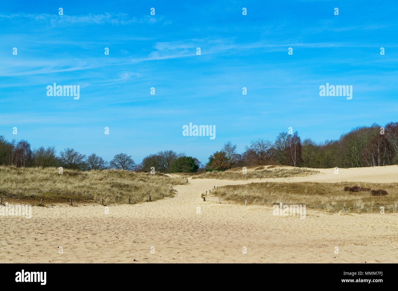 Panoramablick auf die Boberger Dünen im Naturschutzgebiet Boberger Niederung in Hamburg, Deutschland Stockfoto