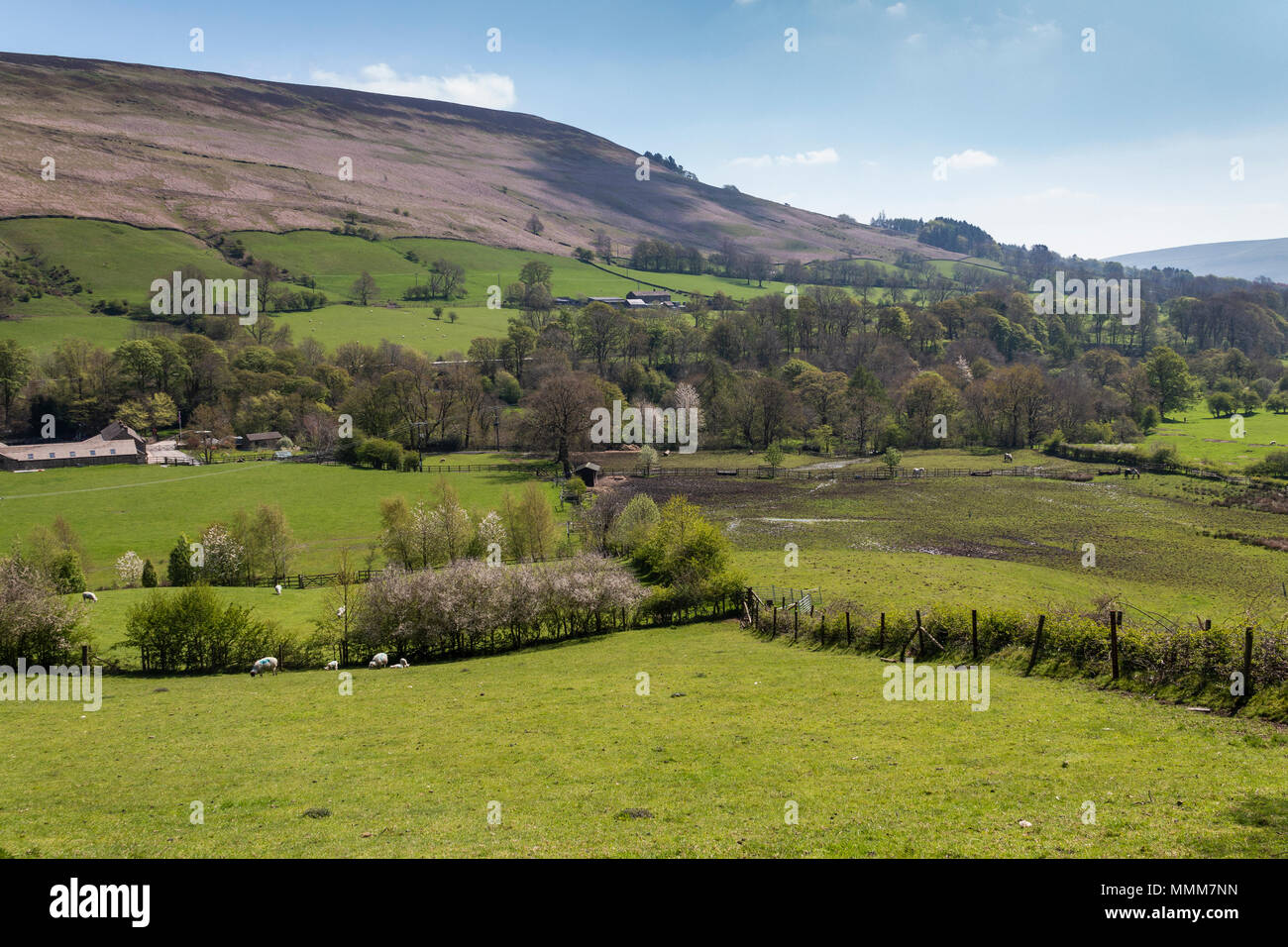 Ein Bild von der atemberaubenden Landschaft in der Nähe von Alfreton, Derbyshire, England, Großbritannien Stockfoto