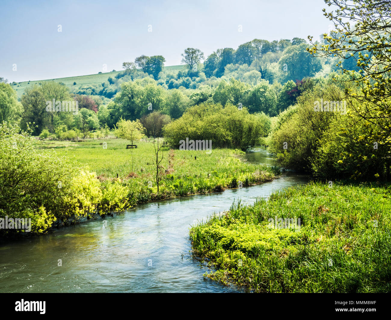 Ein sonniger Frühlingstag entlang des Flusses Kennet in Wiltshire. Stockfoto