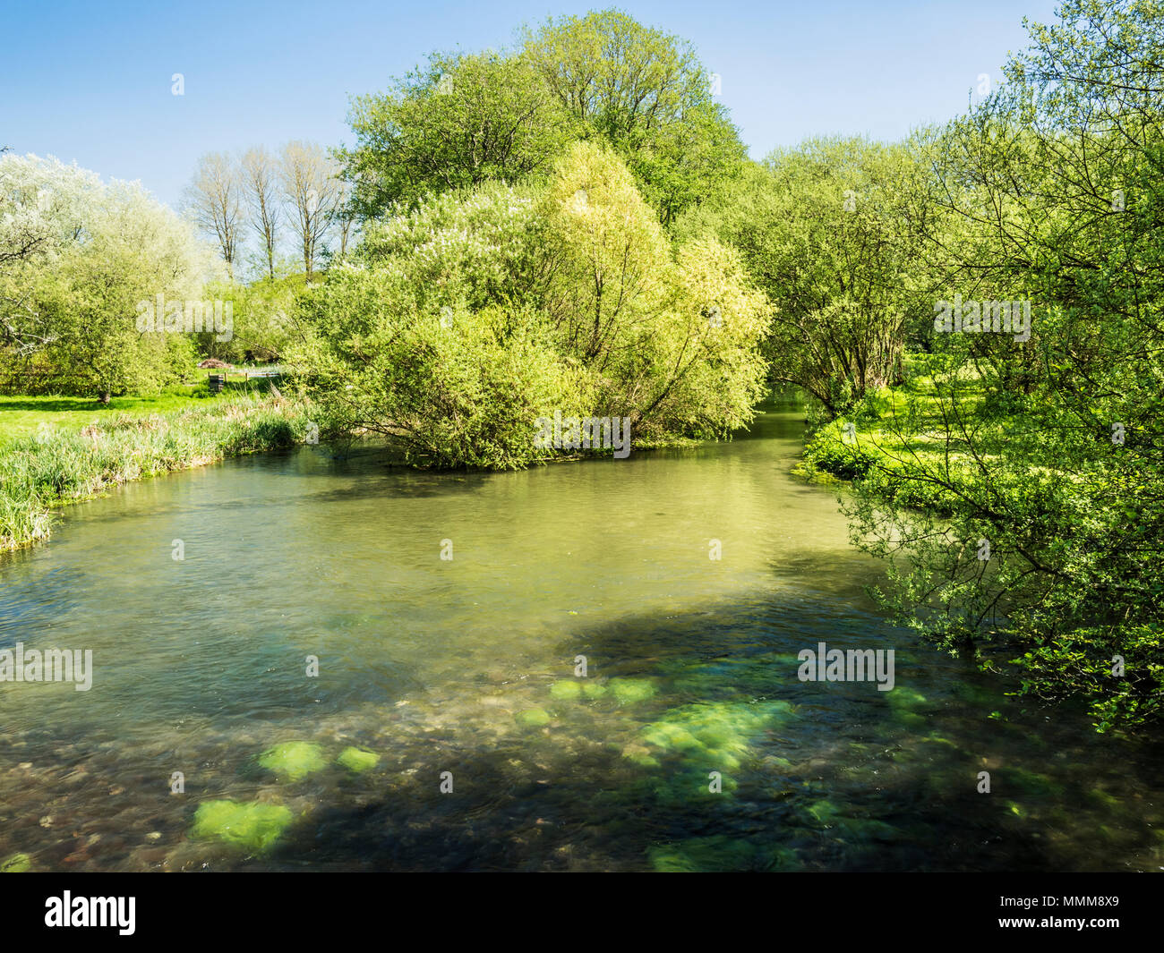 Ein sonniger Frühlingstag entlang des Flusses Kennet in Wiltshire. Stockfoto