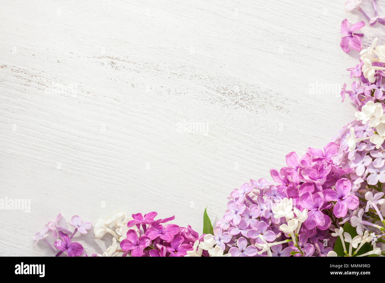 Kleine Blumen Flieder auf einem alten Holz- Hintergrund. Florale. Stockfoto