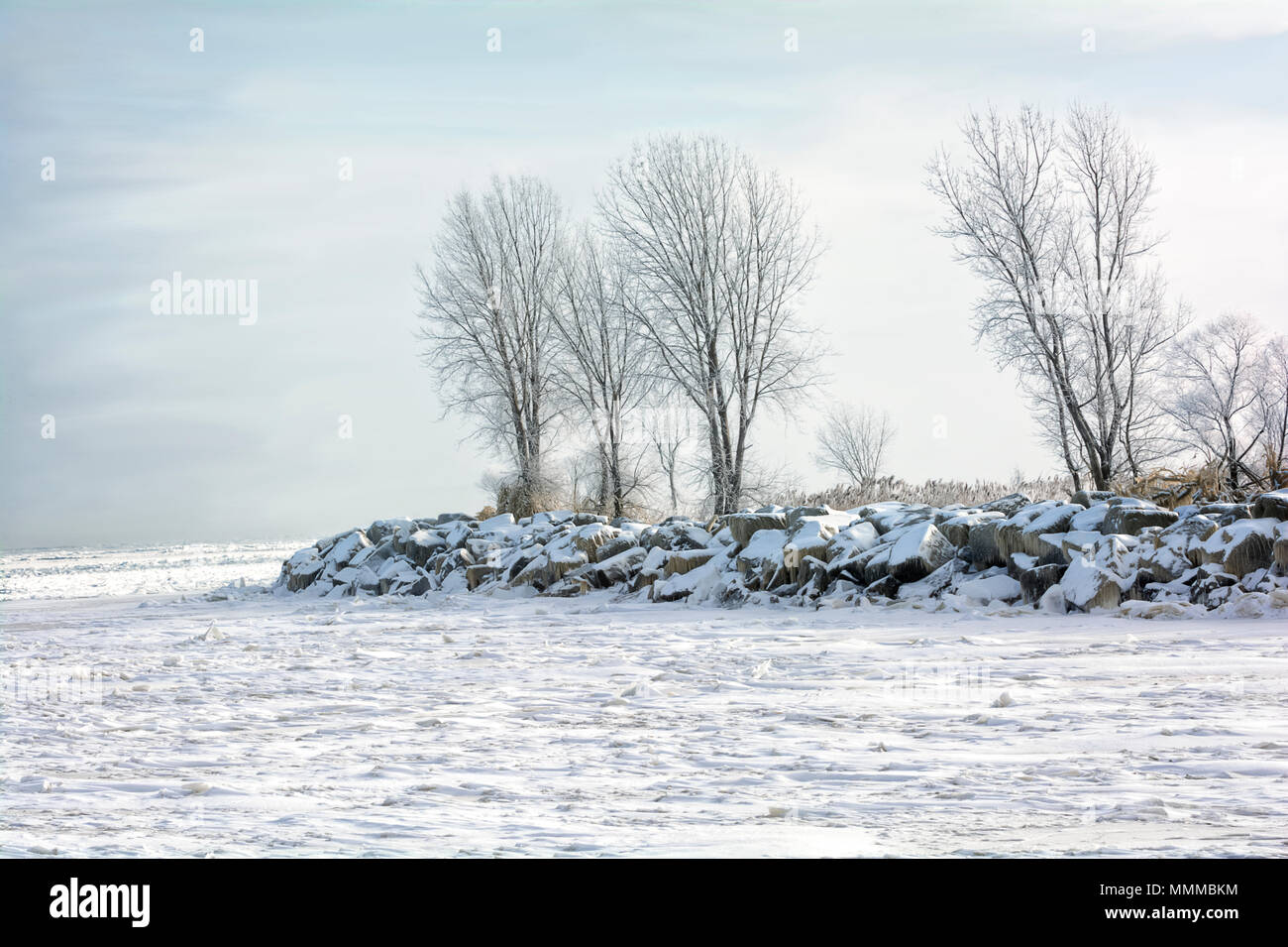 Eine verschneite Winterlandschaft entlang der Küste des Lake Erie in Lorain, Ohio. Nebel hat die Bäume frosted mit einem hübschen später von Eis. Stockfoto