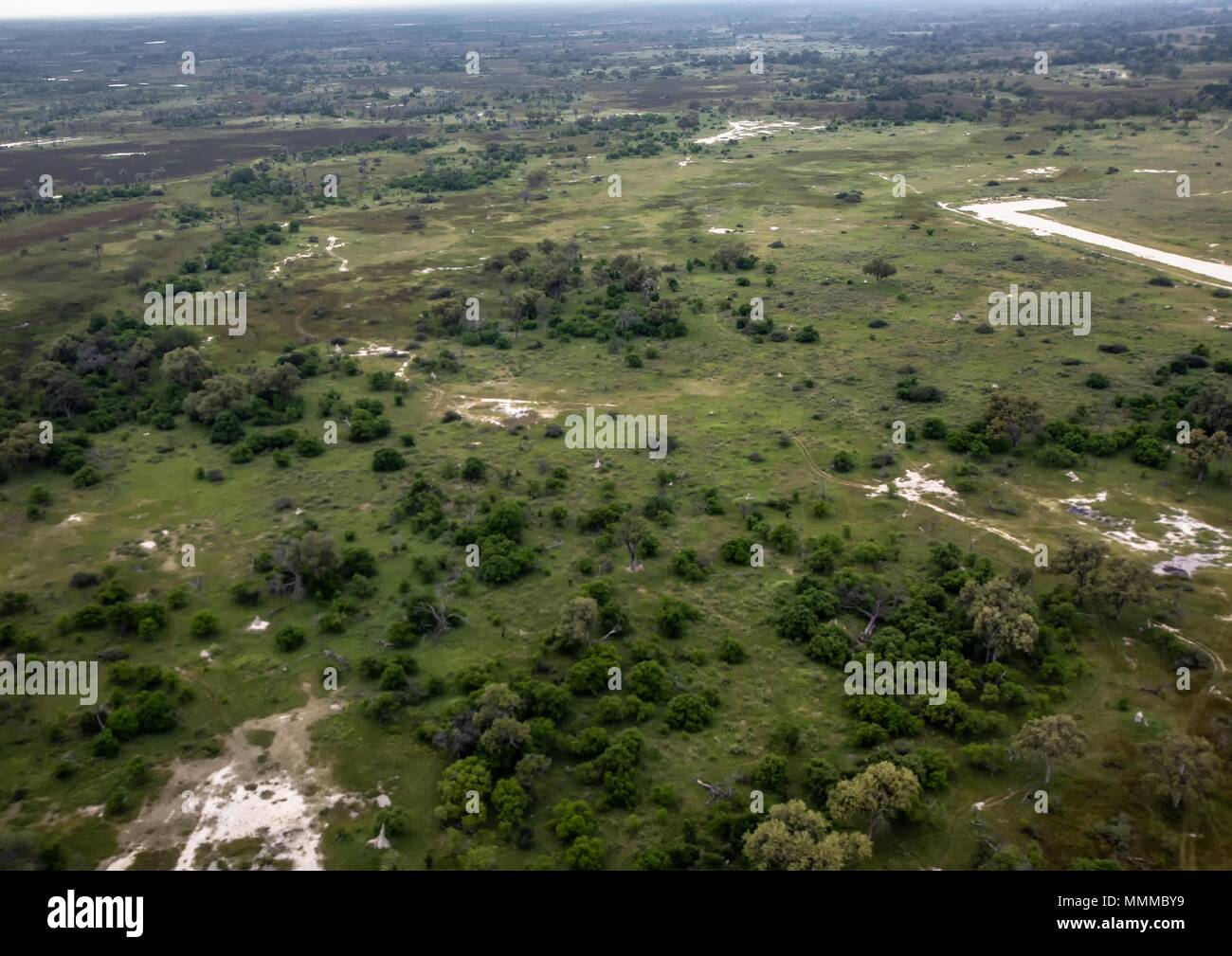 Luftbild des Okavango Delta in Botswana im Sommer Stockfoto