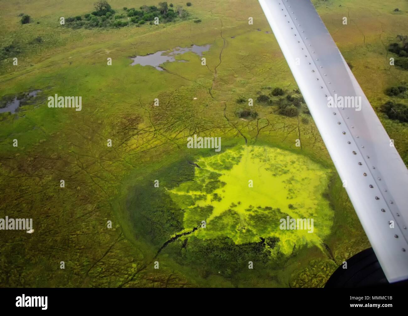 Luftbild des Okavango Delta in Botswana im Sommer Stockfoto