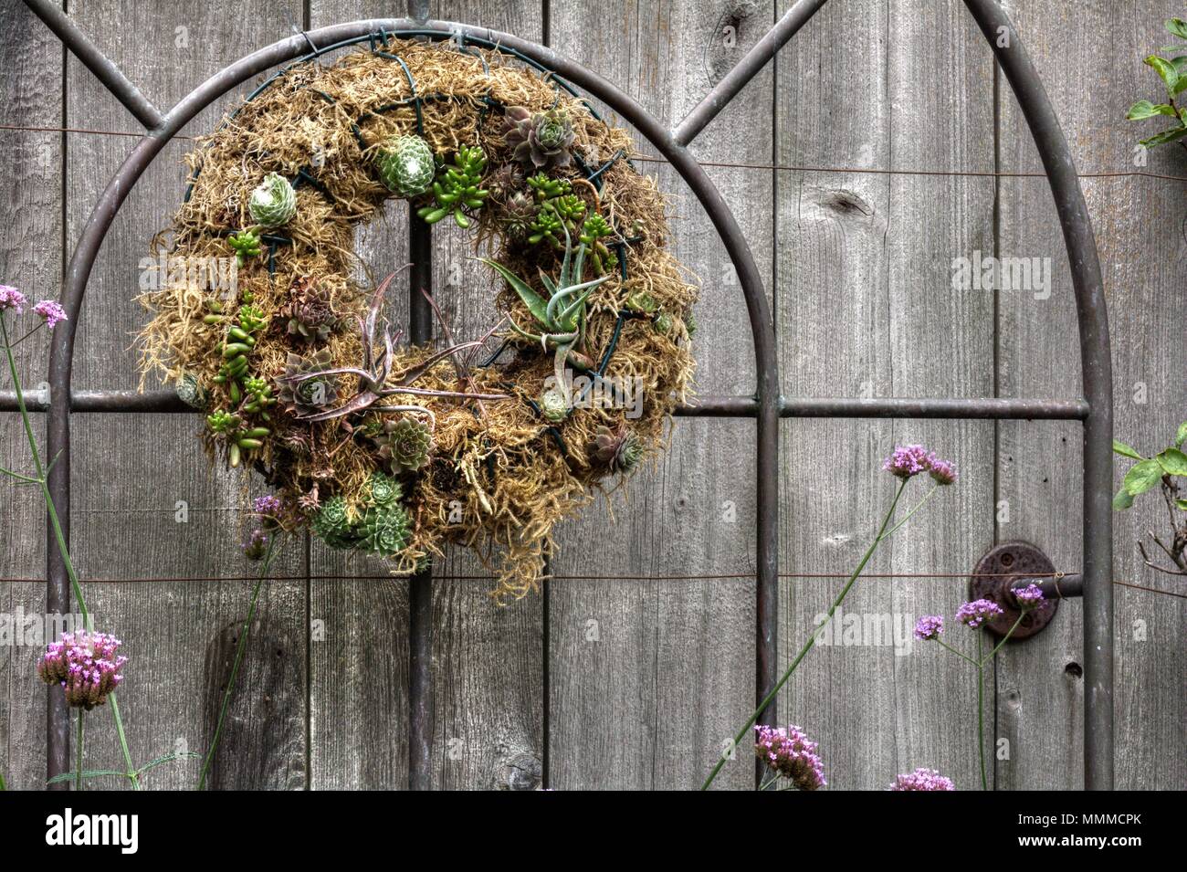 Ein Garten Rankgitter mit einem Kranz aus Pflanzen. Stockfoto