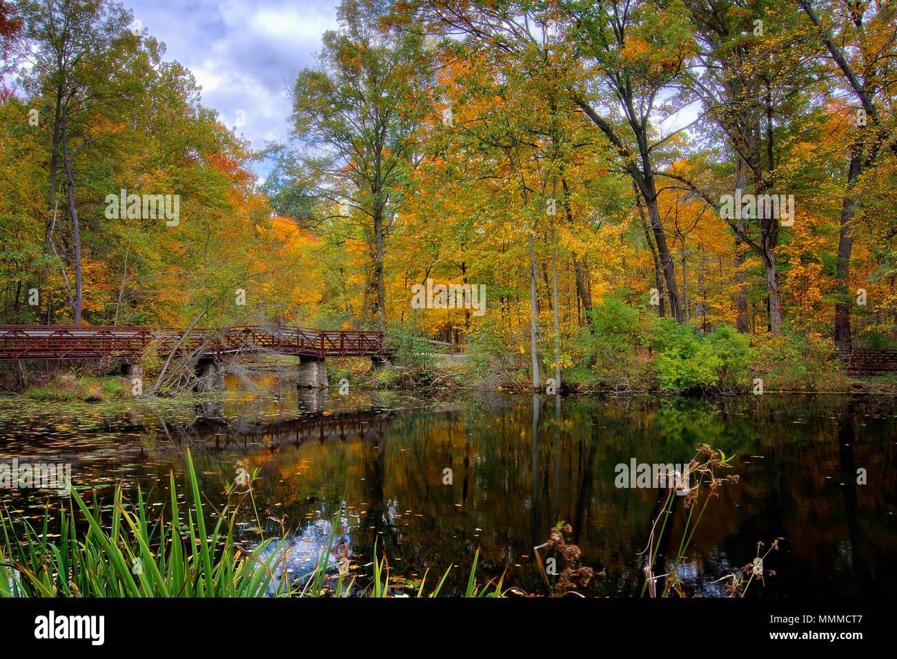Einen schönen Herbst Szene am Mallard See innerhalb Eiche Öffnungen erhalten Metropark in Toledo, Ohio. Stockfoto