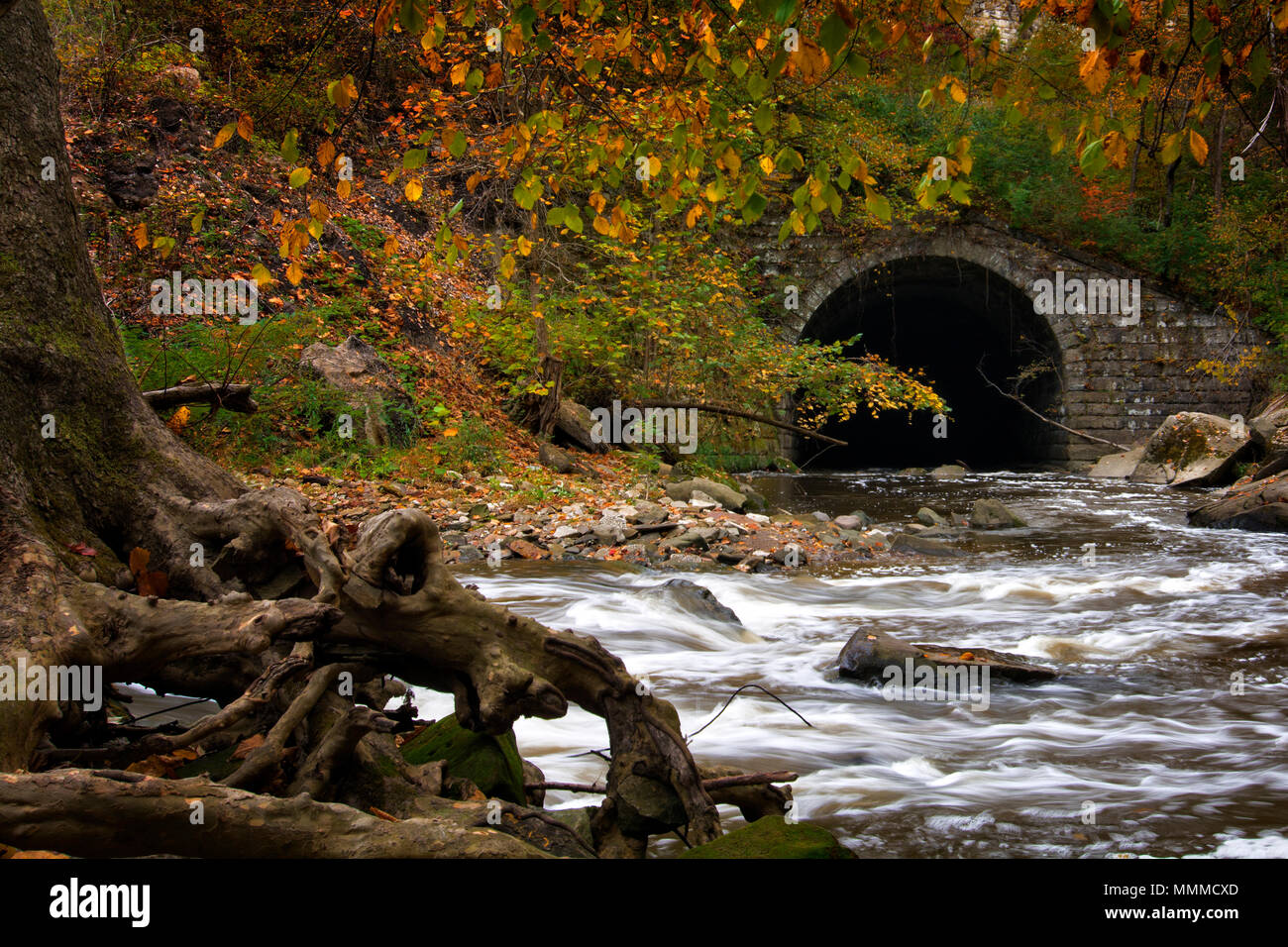 Schönen Herbst Szene bei der Tinker Creek Viadukt in Cleveland, Ohio. Stockfoto