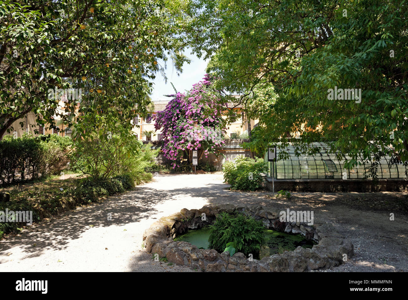 Abschnitt der französischen Gewächshaus auf der rechten Seite, Orto Botanico di Roma oder Roms botanischen Garten. Stockfoto