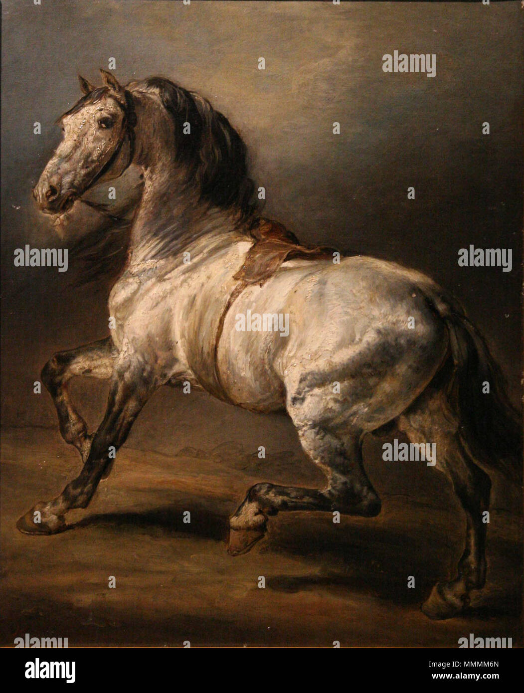 Géricault - étude de cheval Gris Stockfoto