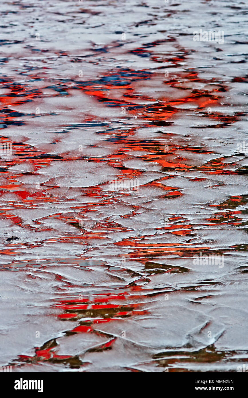 Abstrakte Überlegungen Im leuchtend roten auf dem nassen Strand von Scarborough South Bay. Stockfoto