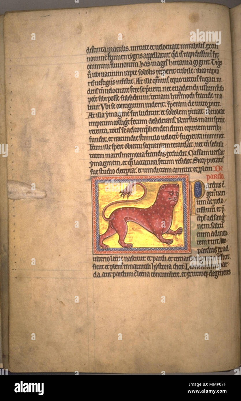 . Folio 8 verso vom Aberdeen Bestiary. Leopard. 12. Jahrhundert. 24 AberdeenBestiaryFolio 008 vLeopard Stockfoto