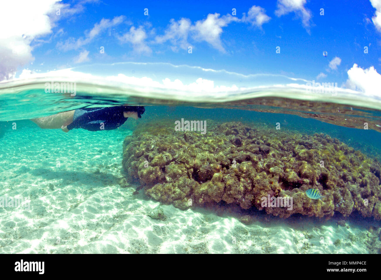 Schnorchler beobachtet eine tote Korallen Riff in den natürlichen Pools oder "gales", Maragogi, Alagoas, Brasilien Stockfoto
