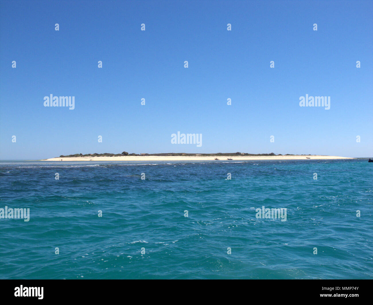 Marine von Nosy Ve Insel in der Nähe von Anakao, Madagaskar, Afrika Stockfoto