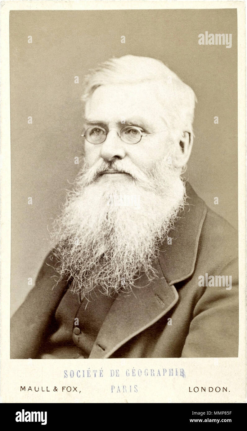 . Français: Alfred Russel Wallace (1823 - 1913), naturaliste, géographe, explorateur, anthropologue et biologiste Britannique. Il est le Co-découvreur de la théorie de l'évolution par la Sélection naturelle avec Charles Darwin. Englisch: Alfred Russel Wallace (1823-1913), britischer Naturforscher, Explorer, Geograph, Ethnologe und Biologe. Am besten für die eigenständig die Konzeption der Theorie der Evolution durch natürliche Selektion bekannt, mit Charles Darwin. . Ca. 1880. 2013-04-14 Für hochladen. Maull & Fox Fotografen, London. Hochladen, Stich und Restaurierung durch Jebulon Alfred Russel Wallace Maul Stockfoto