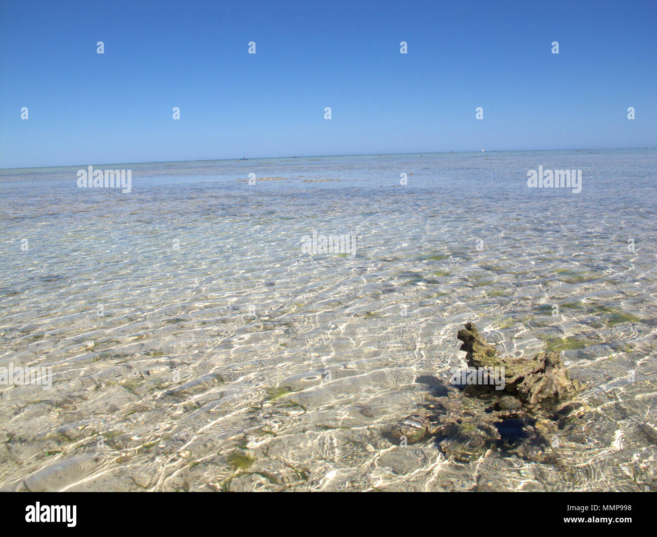 Kristallklares Wasser in Nosy Ve Insel in der Nähe von Anakao, Madagaskar, Afrika Stockfoto