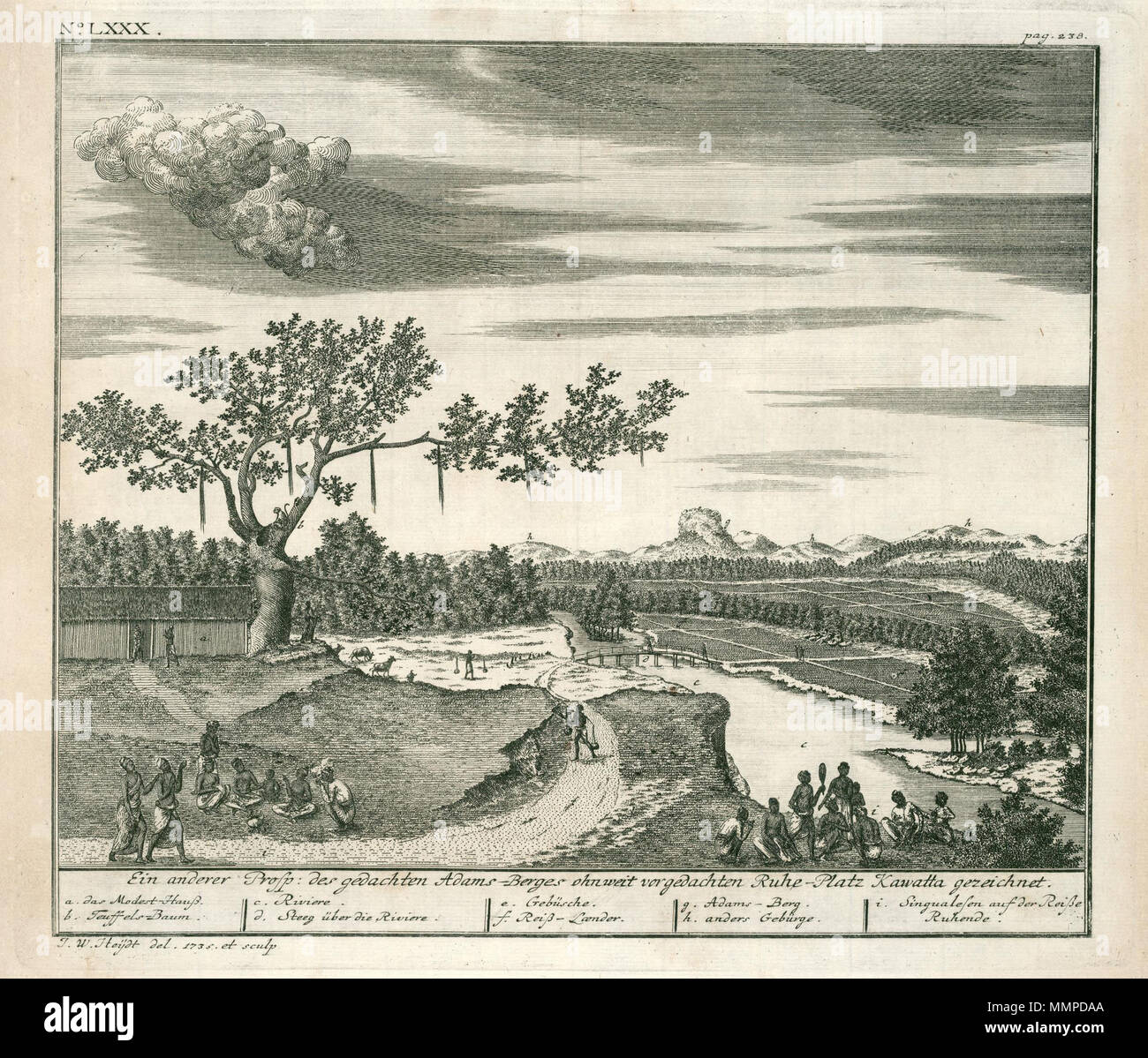 Nederlands Gezicht Op De Adamsberg Ein Geschichte Prosp Des Gedachten Ohnweit Adams Berges Voergedachten Ruhe Platz Kawatta Gezeichnet Linksboven No Lxxx Rechtsboven Pag 238 Legende A Das Modest Hau Ss B Teuffels Baum C Riviere D