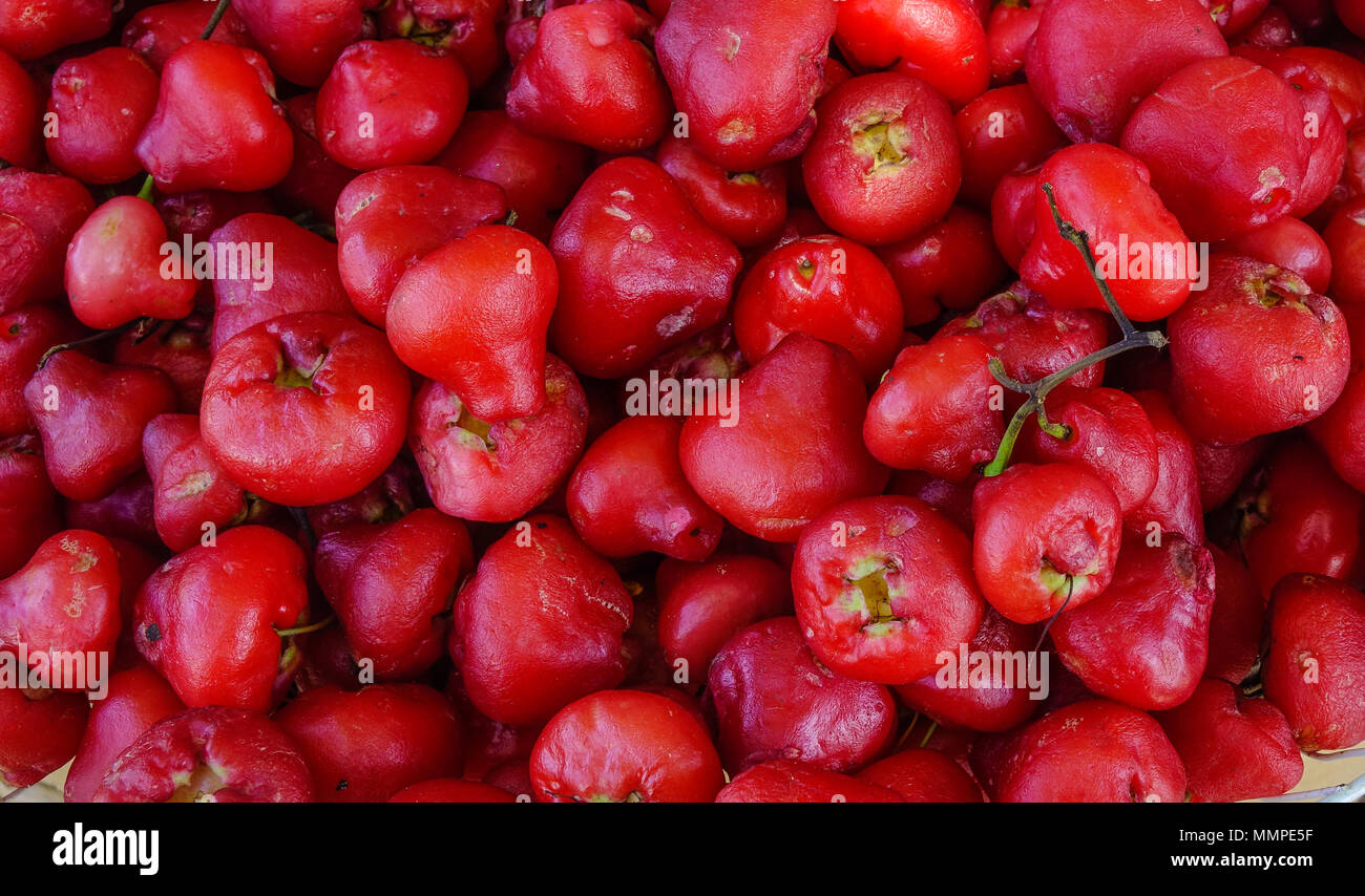 Java Apple (apple) am lokalen Markt auf Mauritius Insel. Stockfoto