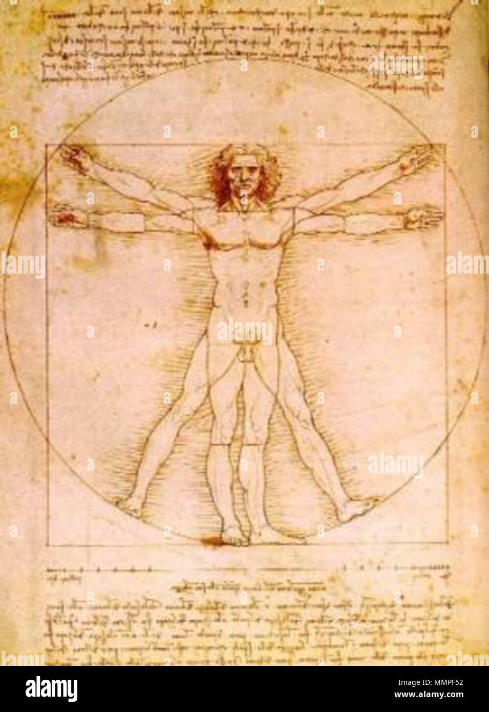 Vitruvianische Mensch Leonardo da Vinci (1452 - 1519) Alternative Namen Leonardo di ser Piero da Vinci, Leonardo Beschreibung italienischer Maler, Ingenieur, Astronom, Philosoph, Anatom und Mathematiker Geburtsdatum / Tod 15. April 1452 vom 2. Mai 1519 Ort der Geburt / Todes Anchiano Clos Lucé Arbeit Periode von 1466 bis 1519 Standort Florenz (1466-1482), Mailand (1483 - 1499), Mantua (1499), Venedig (1500), Florenz (1500 - 1506), Mailand (1506 - 1513), Florenz (1507 - 1508), in Rom (1513-1516), Amboise (1513-1518) Behörde: Q 762 VIAF:?:? ISNI 24604287 0000 0001 2124 423 X 500010879 ULAN:? Stockfoto