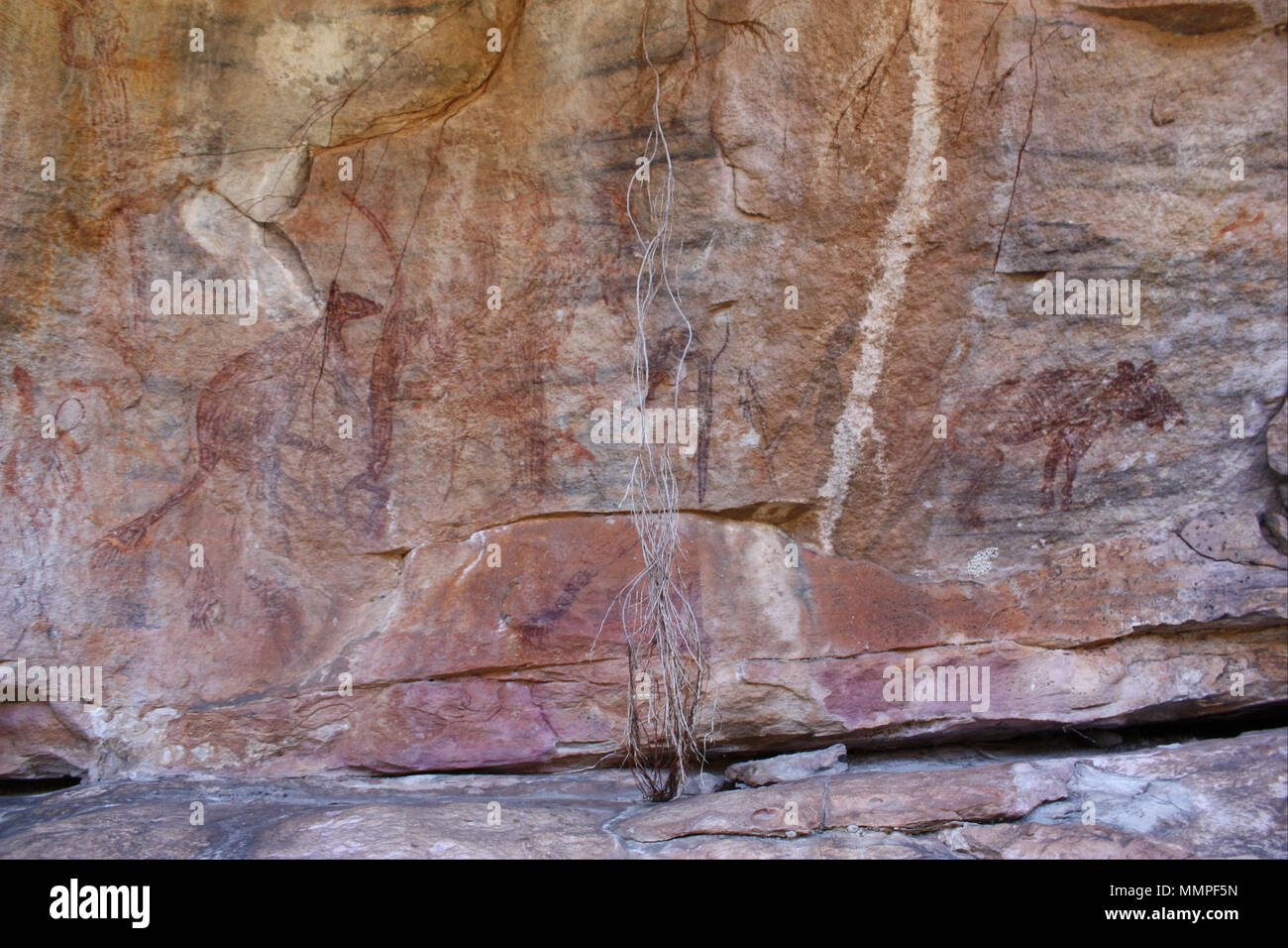 Alte Tier. -8000. Alte Tier Panel - Google Kunst Projekt Stockfoto