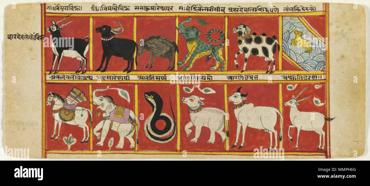 . Englisch: Indische und Himalayan Art Tier Symbole der Könige der Zwölf Himmel des Vaimanika Götter Seite aus einer Handschrift des Sangrahanisutra Hergestellt in Gujarat, Indien, Rajasthan, Indien 1663-64 Künstler-/Teekocher unbekannt, Indien opak Aquarell auf Papier 4 3/8 x 10 Zoll (11,1 x 25,4 cm) derzeit nicht auf Anzeigen 1935-34-11 (26, a) gekauft mit dem Francis T.S. Darley Fund, 1935 Label die komplexen Jain Kosmologie dargelegt in der Sangrahanisutra spricht von vier Klassen von Göttern, die höchsten sind Vaimanika (fliegenden) genannt, weil sie in die Luft Wagen fahren. Jeder der zwölf Vaima Stockfoto