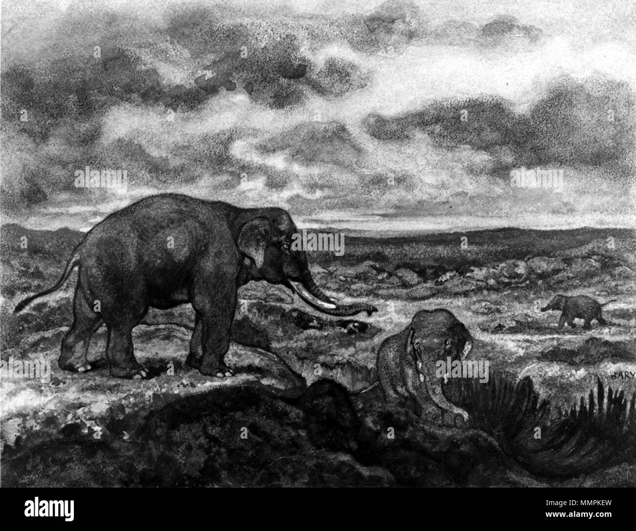 37.826 Antoine-Louis Barye (Französisch, 1796-1875). "Elefanten", Ca. 1867 Aquarell auf leicht strukturierte, mäßig dick, beige webte Papier. Walters Art Museum (37.826): Erworben durch William T. Walters, vor 1889. Antoine-Louis Barye - Elefanten - Walters 37826 Stockfoto
