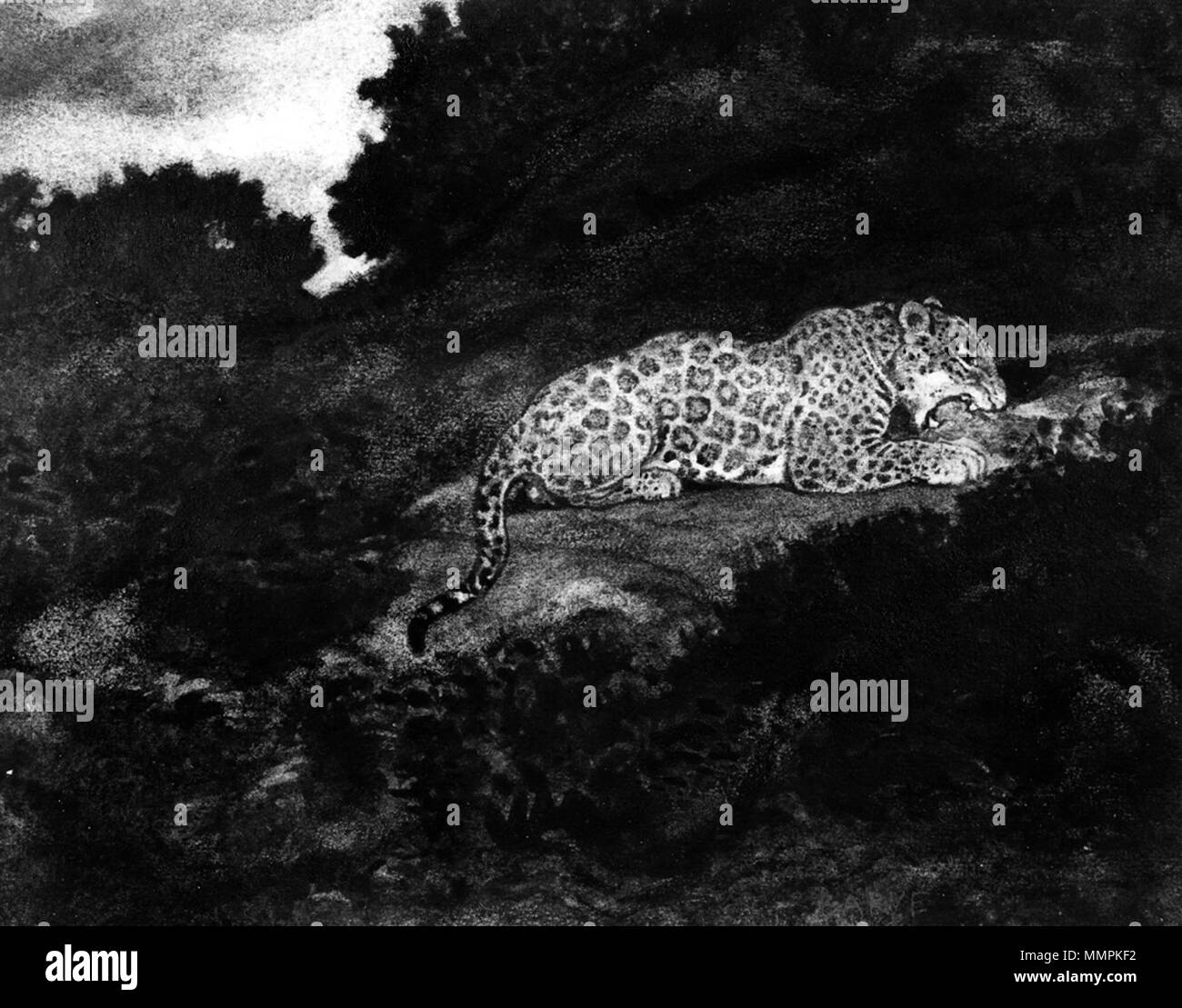 37.828 Antoine-Louis Barye (Französisch, 1796-1875). "Leopard" Essen, 19. Aquarell und Gummi Zuspitzung auf mäßig strukturierten, Dick, Creme webte Papier. Walters Art Museum (37.828): Erworben durch William T. Walters, vor 1889. Antoine-Louis Barye - Leopard Essen - Walters 37828 Stockfoto