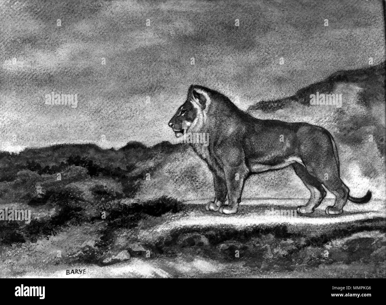 37.832 Antoine-Louis Barye (Französisch, 1796-1875). 'Stehende Löwe, 'Ca. 1850s - 1860s. Aquarell mit Gummi Zuspitzung auf mäßig strukturierten, Dick, Creme webte Papier. Walters Art Museum (37.832): Erworben durch William T. Walters, vor 1889. Antoine-Louis Barye - Standing Lion-Walters 37832 Stockfoto