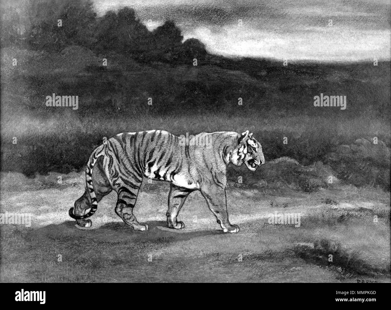 37.823 Antoine-Louis Barye (Französisch, 1796-1875). 'Tiger Wandern, 'Ca. 1850s - 1860s. Aquarell mit Gummi Zuspitzung auf mäßig strukturiertem, mäßig dick, Creme webte Papier. Walters Art Museum (37.823): Erworben durch William T. Walters, vor 1889. Antoine-Louis Barye - Tiger Walking - Walters 37823 Stockfoto