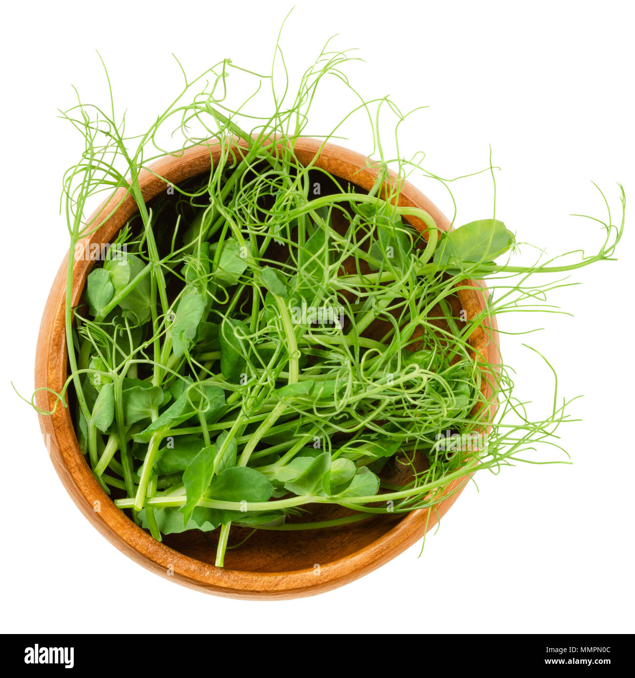 Pea microgreen in Houten. Keimblättern von Pisum sativum. Grüne Triebe, junge Pflanzen, Keimlinge und Sprossen. Essbar, roh, Bio und Vegan. Stockfoto