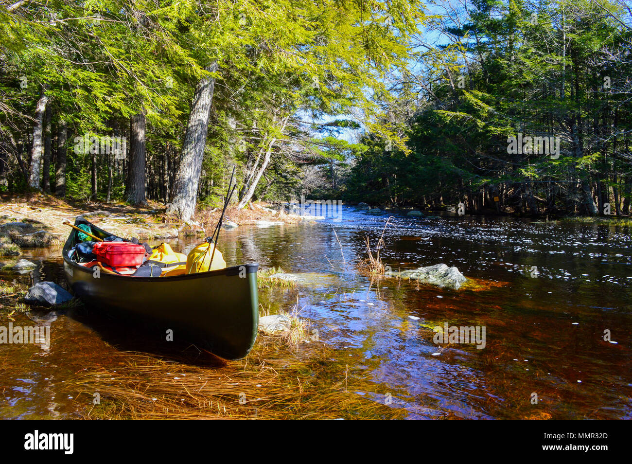 Kanu bei Still Bach, Kejimkujik National Park, NS Stockfoto