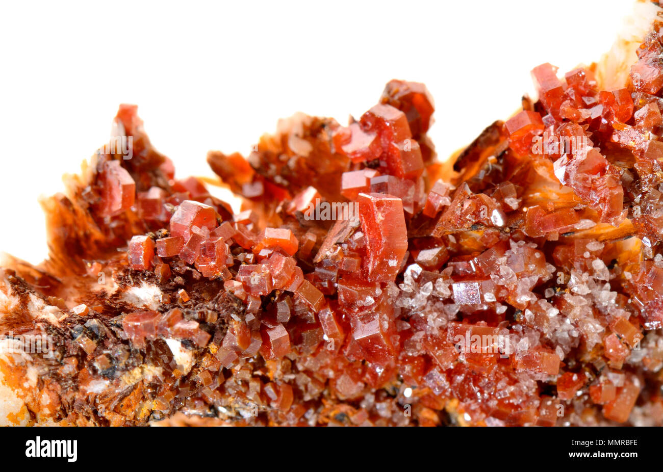 Red Vanadinite Kristalle (vanadate und Chlorid von Blei) Stockfoto