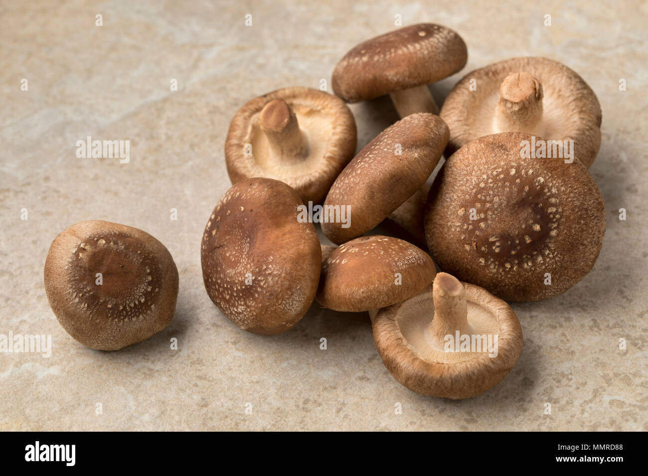 Haufen von frischen, rohen Shiitake Pilze Stockfoto