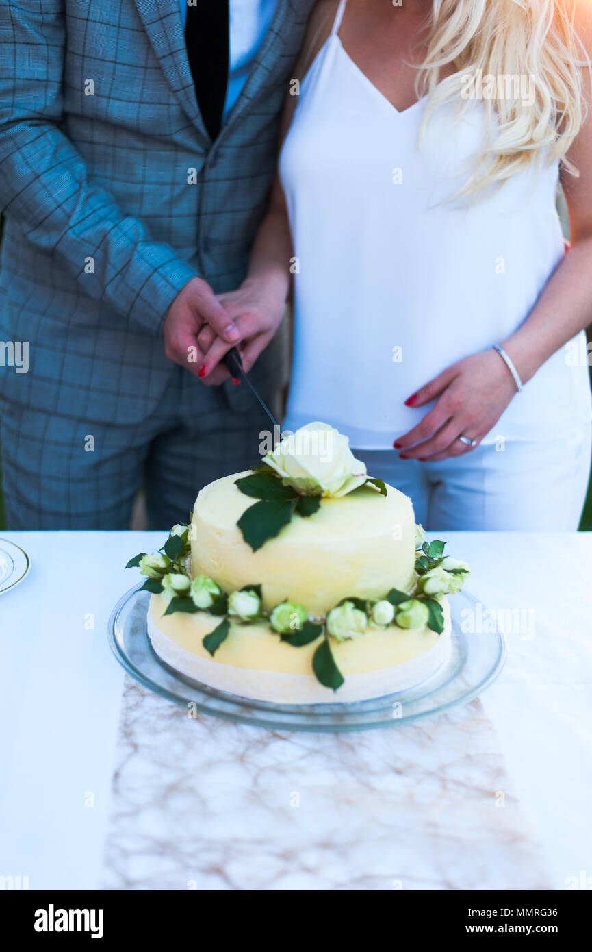 Braut und Bräutigam schneiden Hochzeitstorte Stockfoto