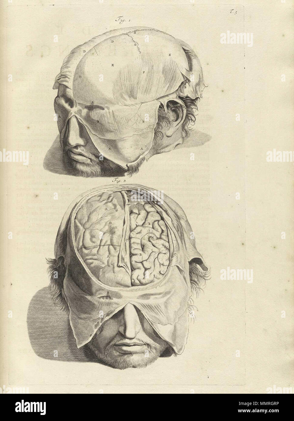 . Govard Bidloo, (1649-1713): Ontleding des menschelyken lichaams Amsterdam, 1690. (= niederländische Sprache Edition von Anatomia Humani Corporis, 1685). Gerard de Lairesse (Zeichnungen), Abraham Blooteling, Pieter Stevens van Gunst (GRAVEURE)/Scans von NLM Bidloo Ontleding 1690 05. Stockfoto
