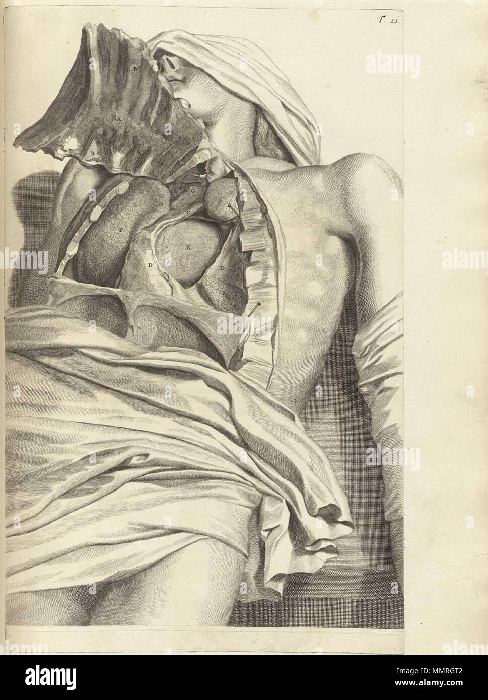 . Govard Bidloo, (1649-1713): Ontleding des menschelyken lichaams Amsterdam, 1690. (= niederländische Sprache Edition von Anatomia Humani Corporis, 1685). Gerard de Lairesse (Zeichnungen), Abraham Blooteling, Pieter Stevens van Gunst (GRAVEURE)/Scans von NLM Bidloo Ontleding 1690 21. Stockfoto