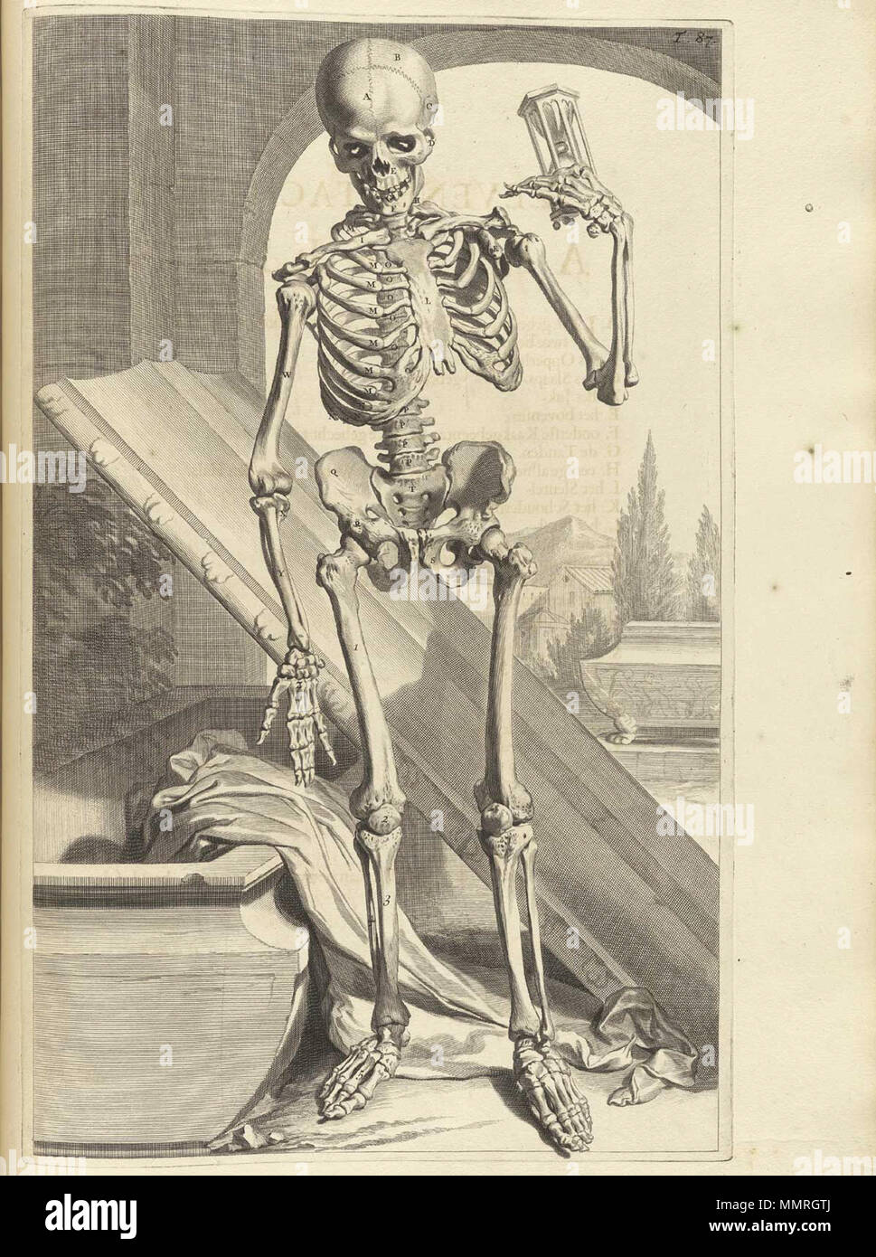 . Govard Bidloo, (1649-1713): Ontleding des menschelyken lichaams Amsterdam, 1690. (= niederländische Sprache Edition von Anatomia Humani Corporis, 1685). Gerard de Lairesse (Zeichnungen), Abraham Blooteling, Pieter Stevens van Gunst (GRAVEURE)/Scans von NLM Bidloo Ontleding 1690 87 Stockfoto